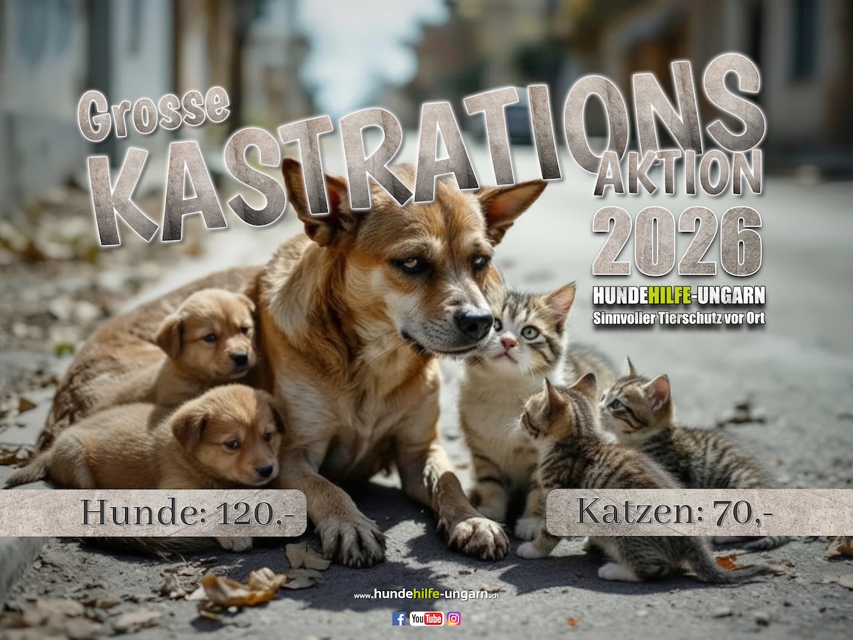 Grosse Kastrationsaktion 2026
