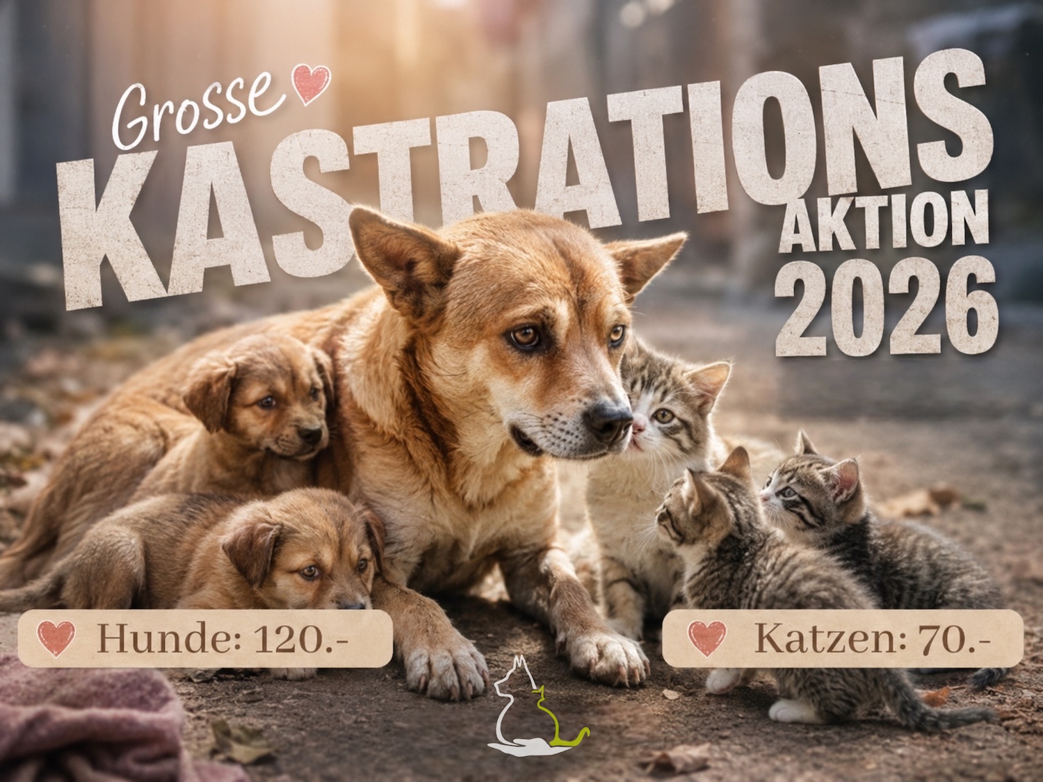 Status: Kastrationsaktion 2026