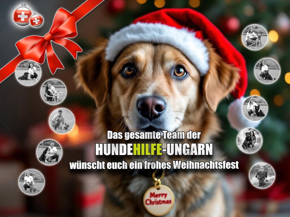 Status: Frohe Weihnachten