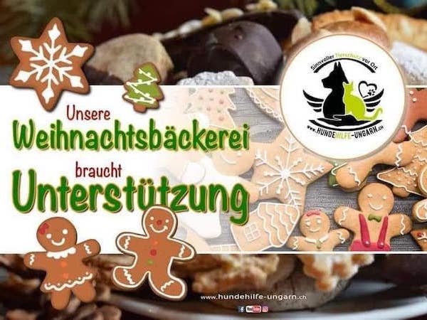 Unterstützung gesucht