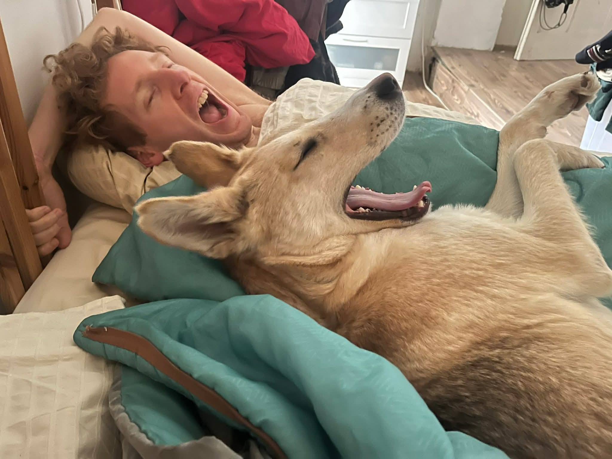 Status: Was wurde aus...