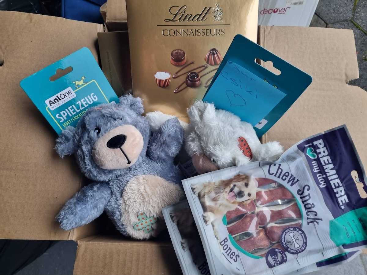 Status: Zeit für ein riesengroßes DANKE! DANKE! DANKE!