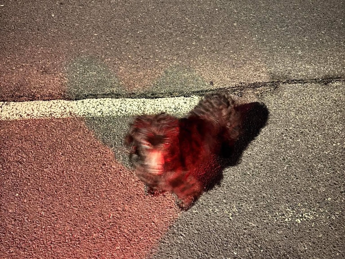 Status: Manchmal möchte man das Telefon ausschalten...