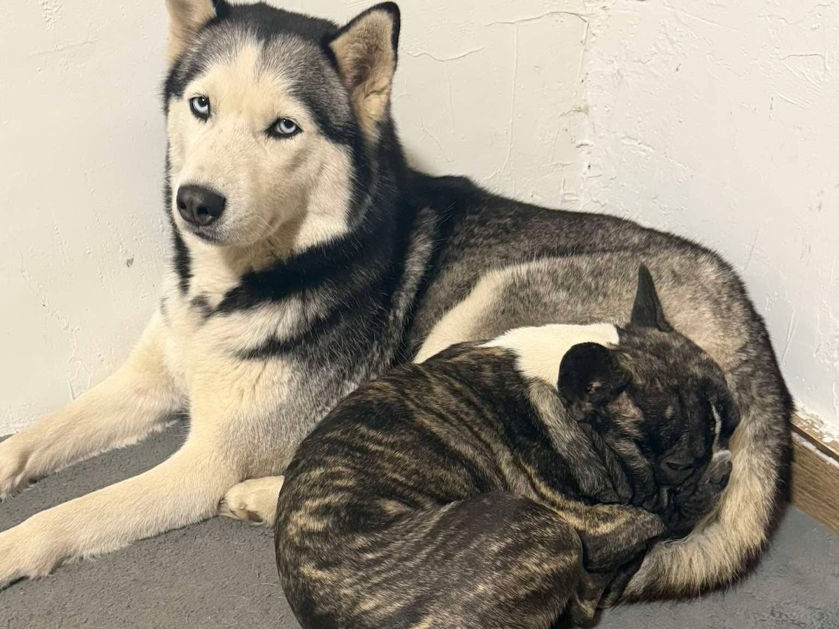 Status: Völlige Fassungslosigkeit und blanke Wut!