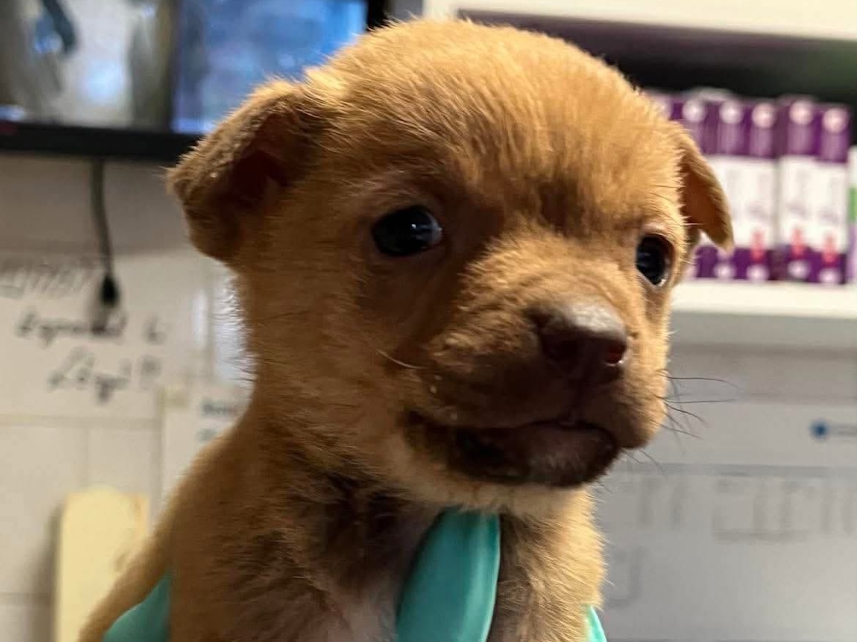 Status: Eine ungglaublich kleine Mama Heldin! 