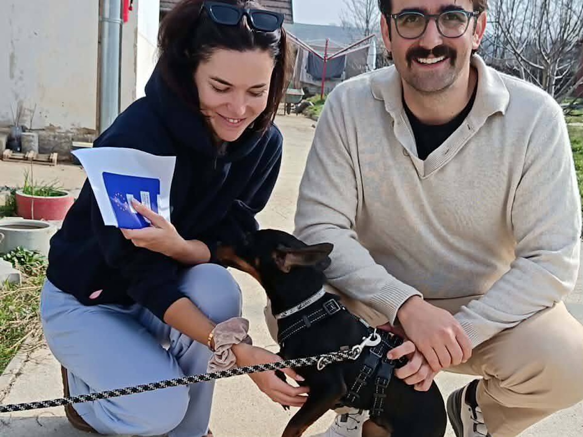 Status: Gerry`s grosser Herzensmoment