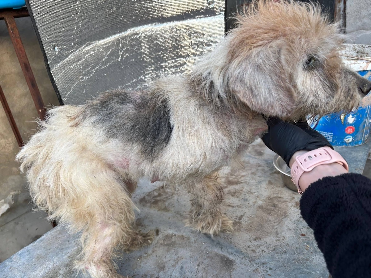 Status: Wann lernen Menschen Verantwortung zu übernehmen?