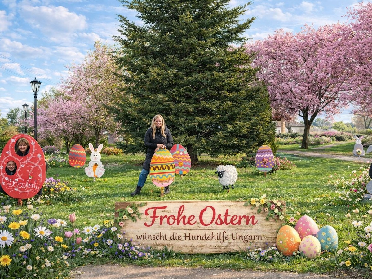 Status: Frohe Ostern von der Hundehilfe Ungarn! 