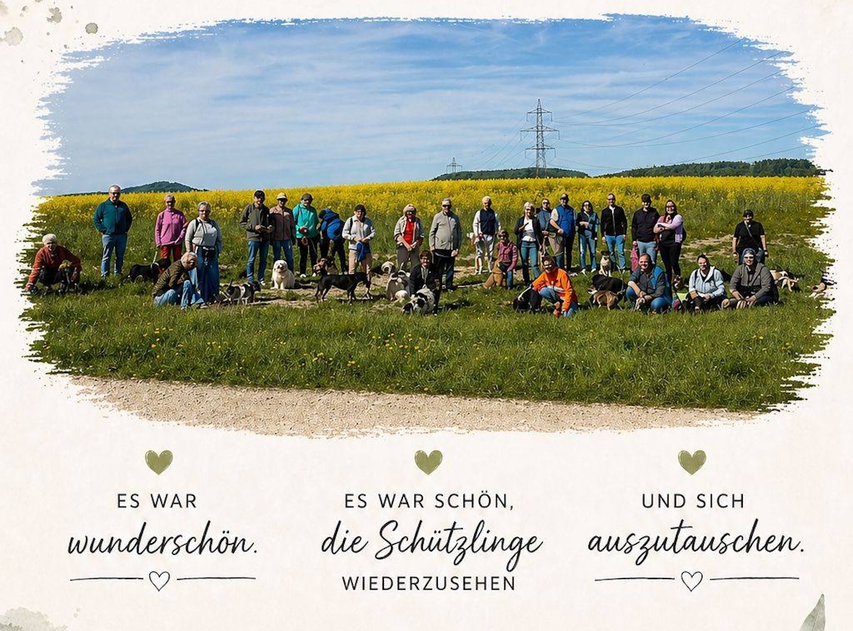 Status: Danke für den schönen Spaziergang