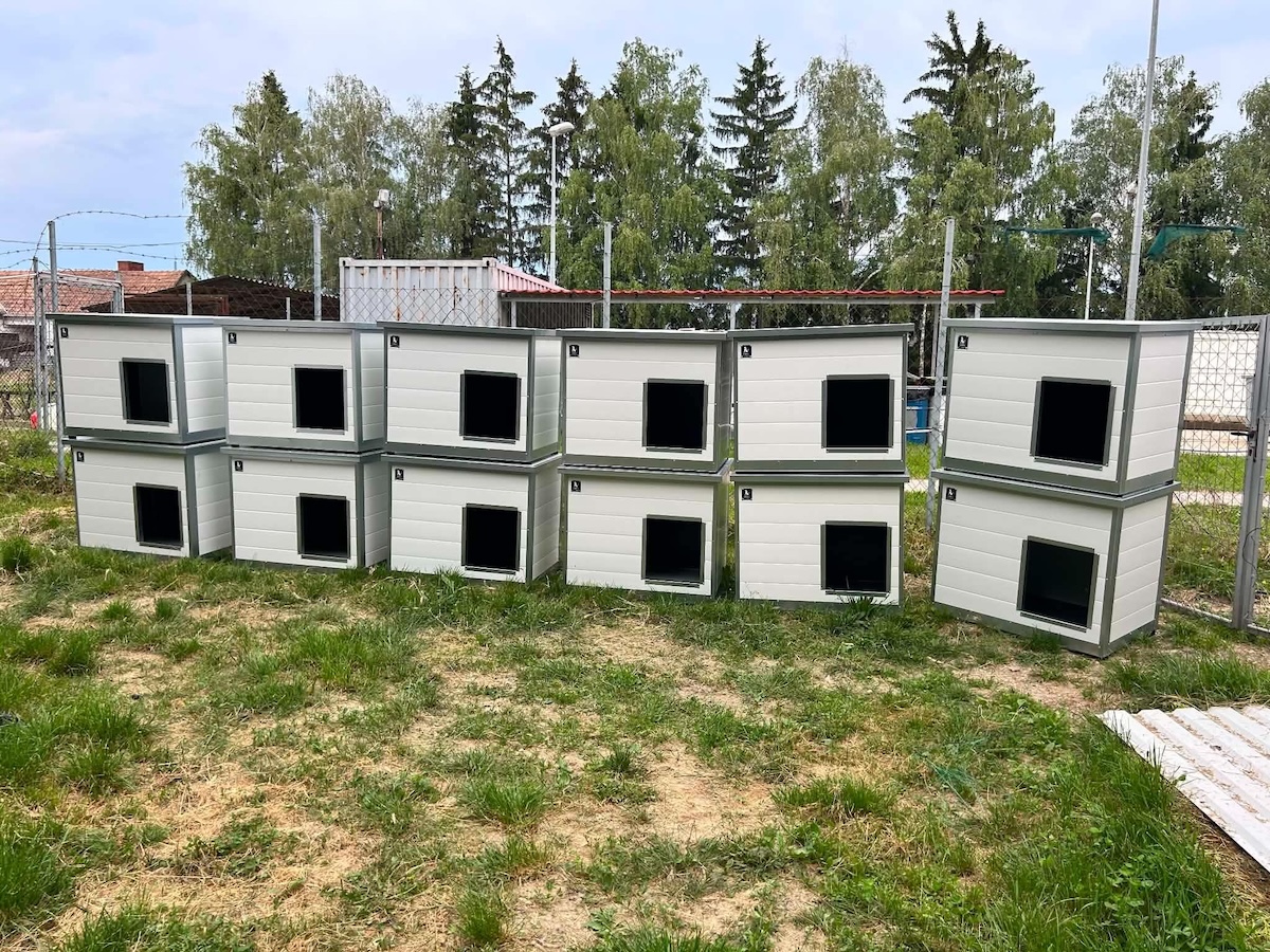 Status: 12 isolierte Hundehütten für Nagyatad