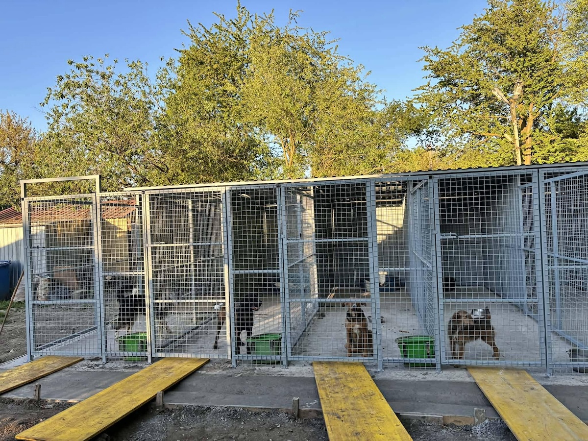 Status: Neue Zwinger in Nagyatad