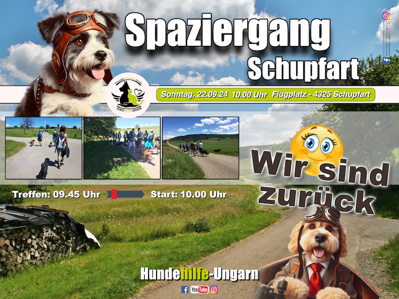 Spaziergang Kopie