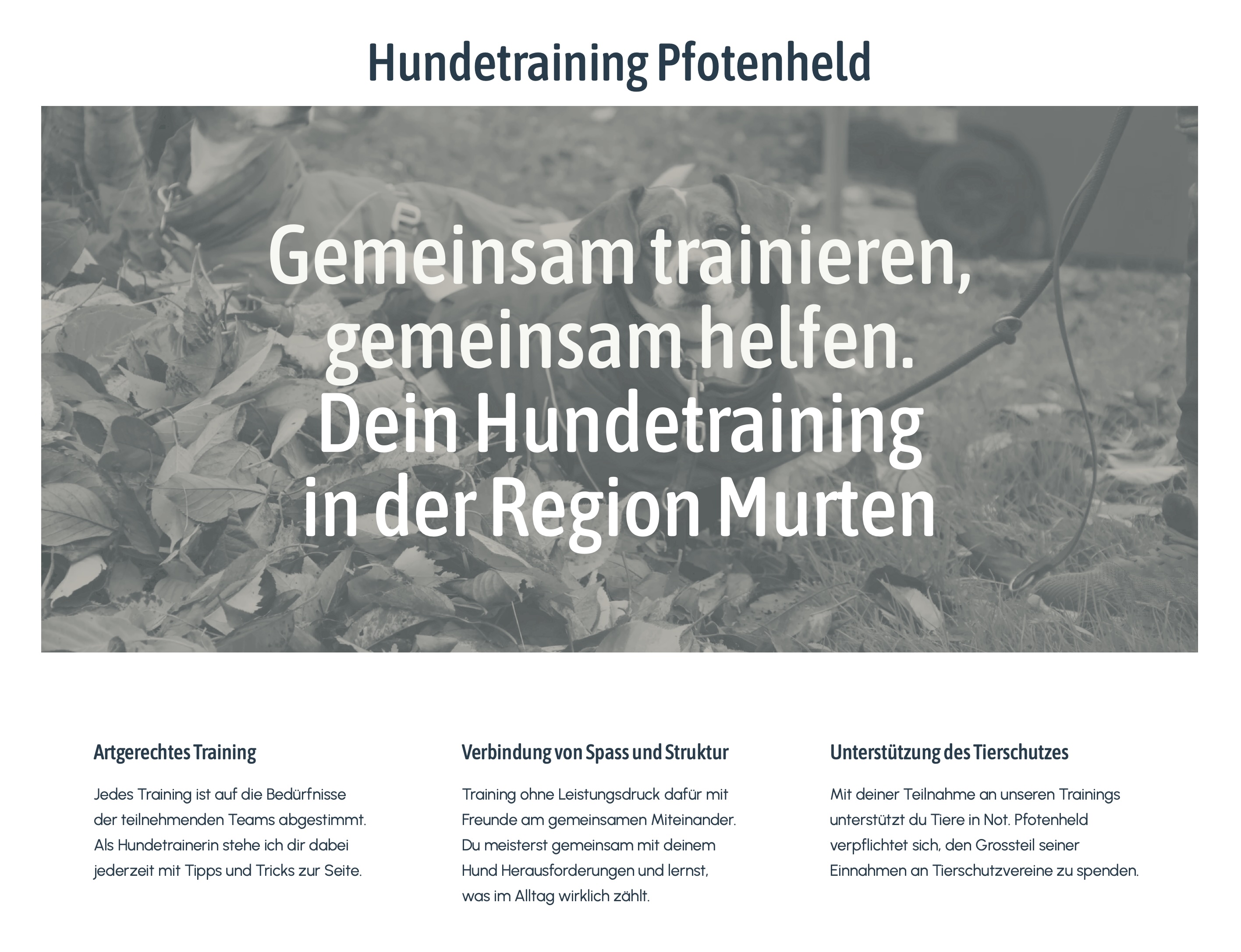 Hundetraining Pfotenheld