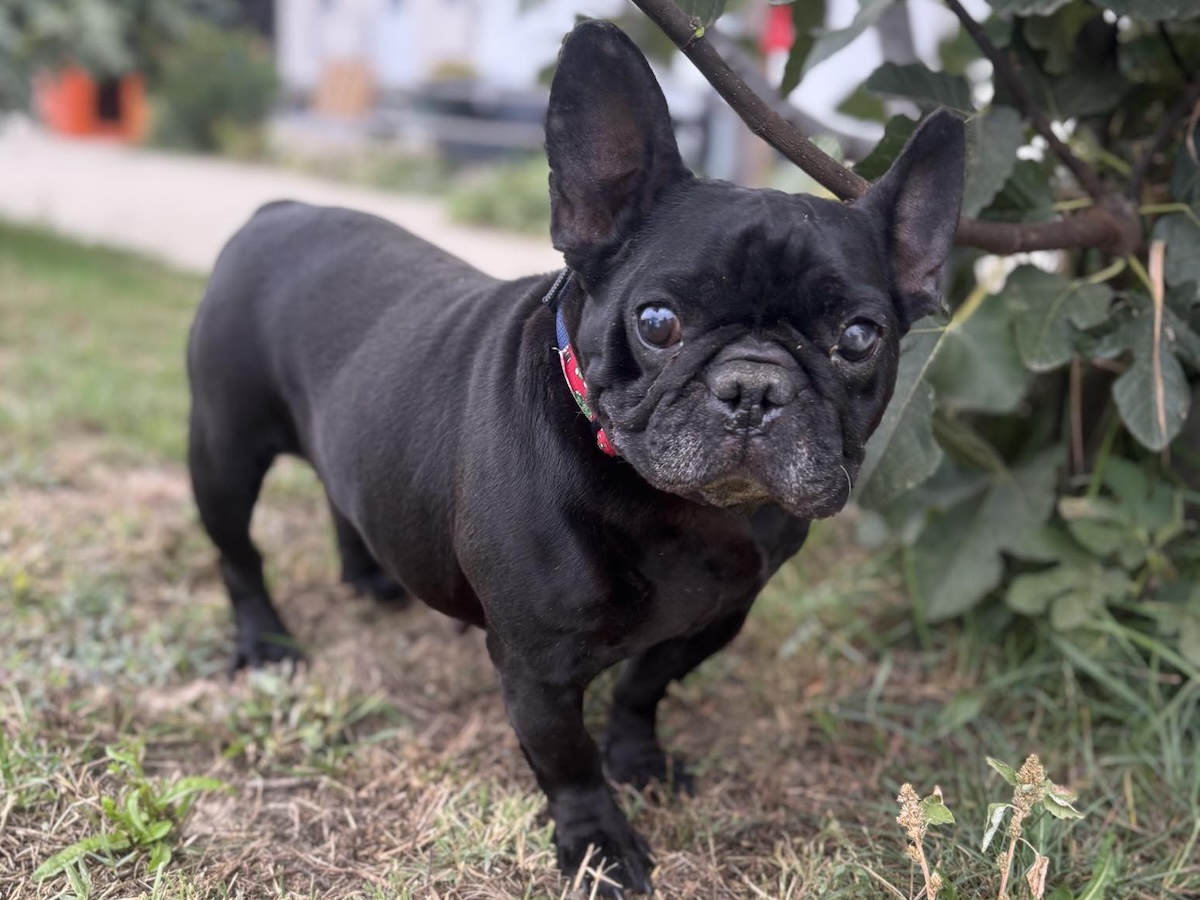 Missy001