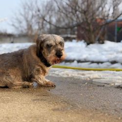 hilfsfahrt 2026 01 19