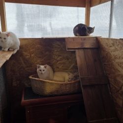 hilfsfahrt 2026 01 19