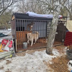 hilfsfahrt 2026 01 19