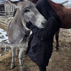 hilfsfahrt 2026 01 19