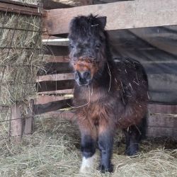 hilfsfahrt 2026 01 19