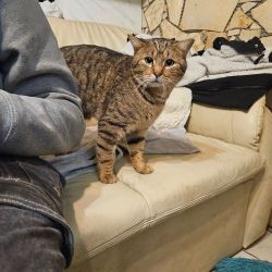 hilfsfahrt 2026 01 19