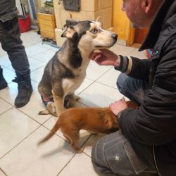 hilfsfahrt 2026 01 19