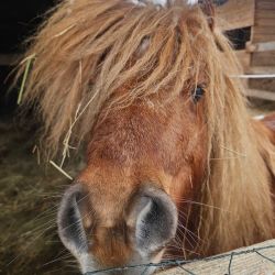 hilfsfahrt 2026 01 19