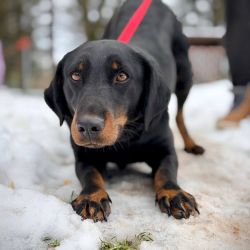 hilfsfahrt 2026 01 19