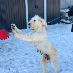 hilfsfahrt 2026 01 19