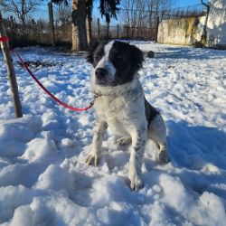 hilfsfahrt 2026 01 19