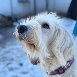 hilfsfahrt 2026 01 19