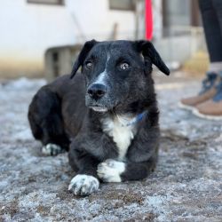 hilfsfahrt 2026 01 19