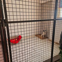 hilfsfahrt 2026 01 19