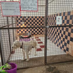 hilfsfahrt 2026 01 19