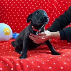 hilfsfahrt 2026 01 19