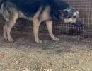 2025 09 15
