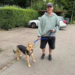 2025 08 29