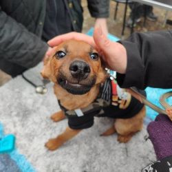 hilfsfahrt 2026 01 19