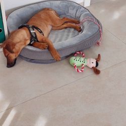 hilfsfahrt 2026 01 19