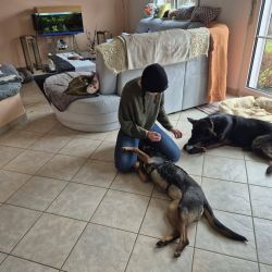 hilfsfahrt 2026 01 19